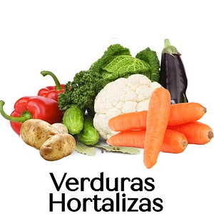 Verduras y Hortalizas