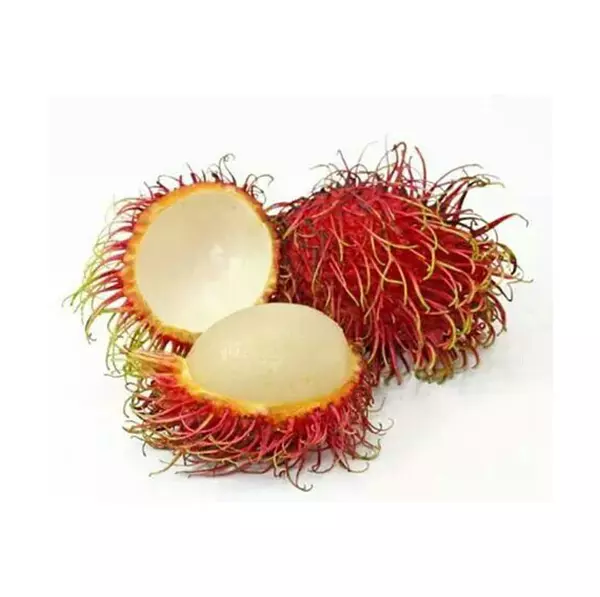 Rambutan