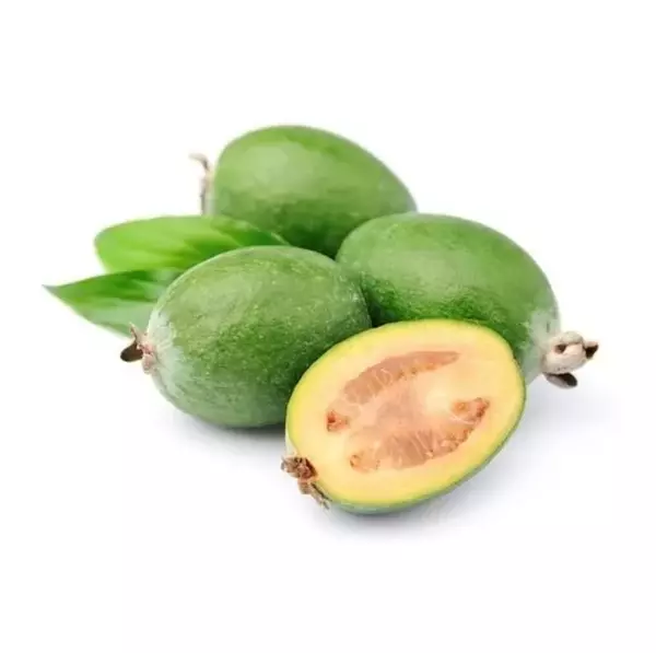 Guayaba Feijoa