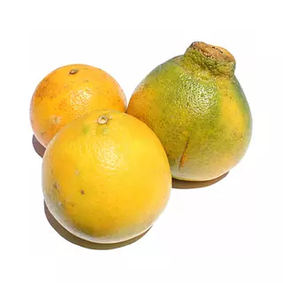 Naranja Tangelo