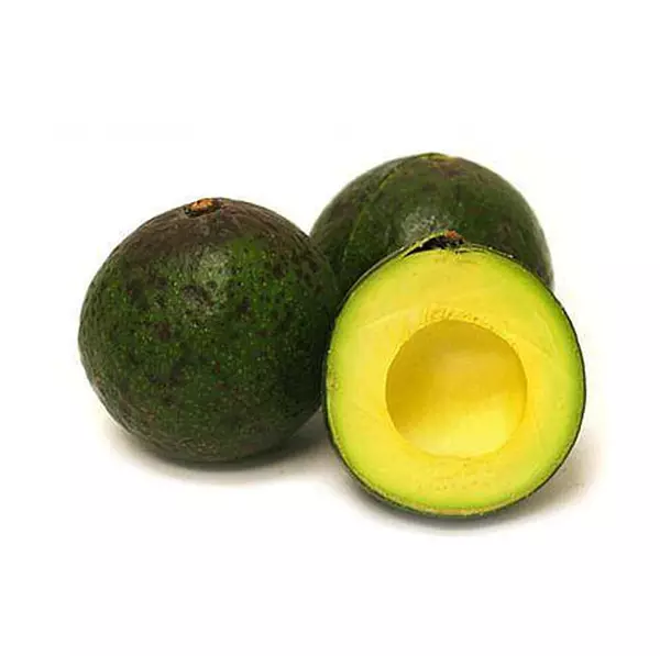 Aguacate Reed