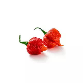 Chile Carolina Reaper