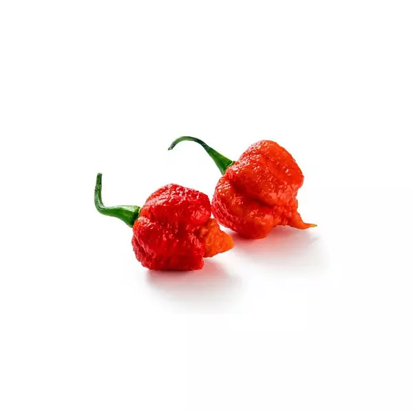 Chile Carolina Reaper