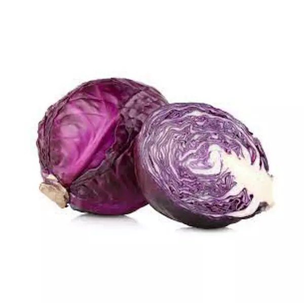 Repollo Morado