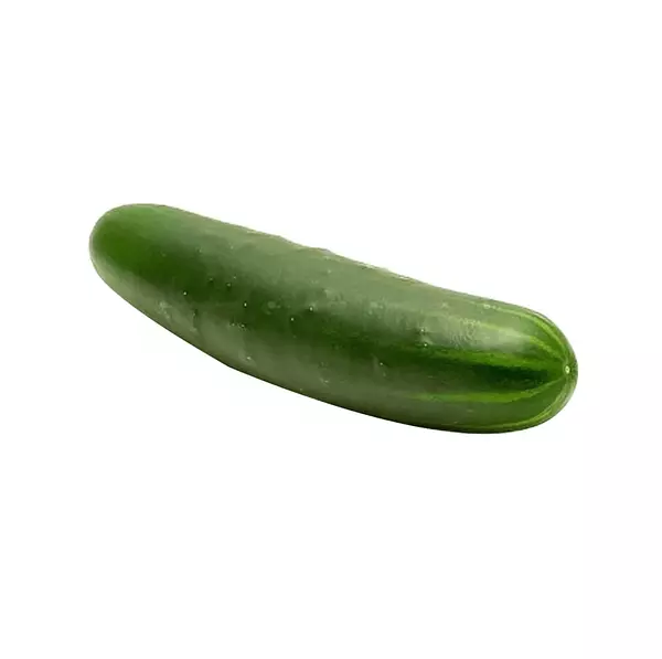 Pepino Cohombro