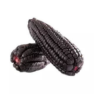 Mazorca Peruana Morada