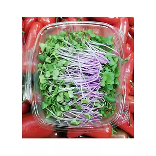 Brotes De Rabano Rosa