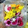 Flores Comestibles