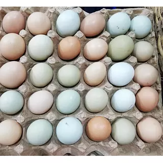 Huevos Criollos De Colores