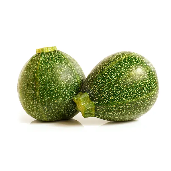 Zuchinni Redondo