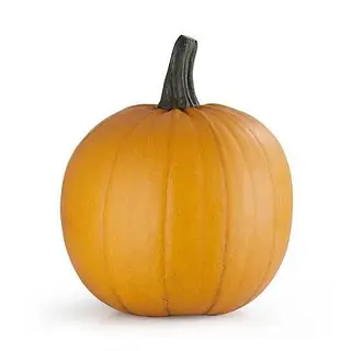 Calabaza Grande Halloween