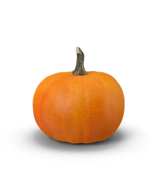 Calabaza Pequeña Halloween
