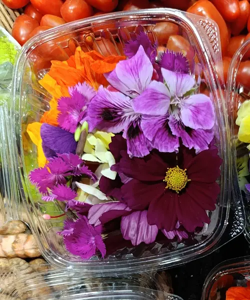 Flores Comestibles