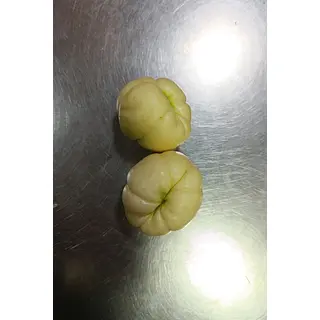 Cidra Medicinal